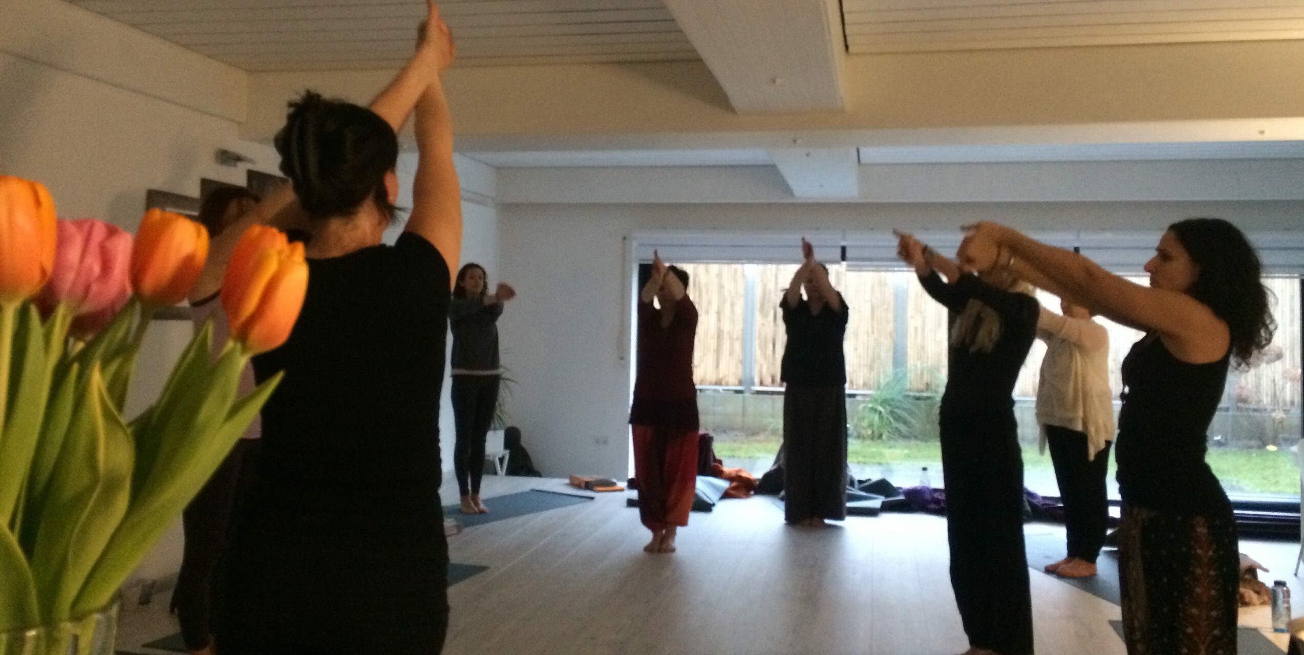 Neuer Online Kurs Lu Jong