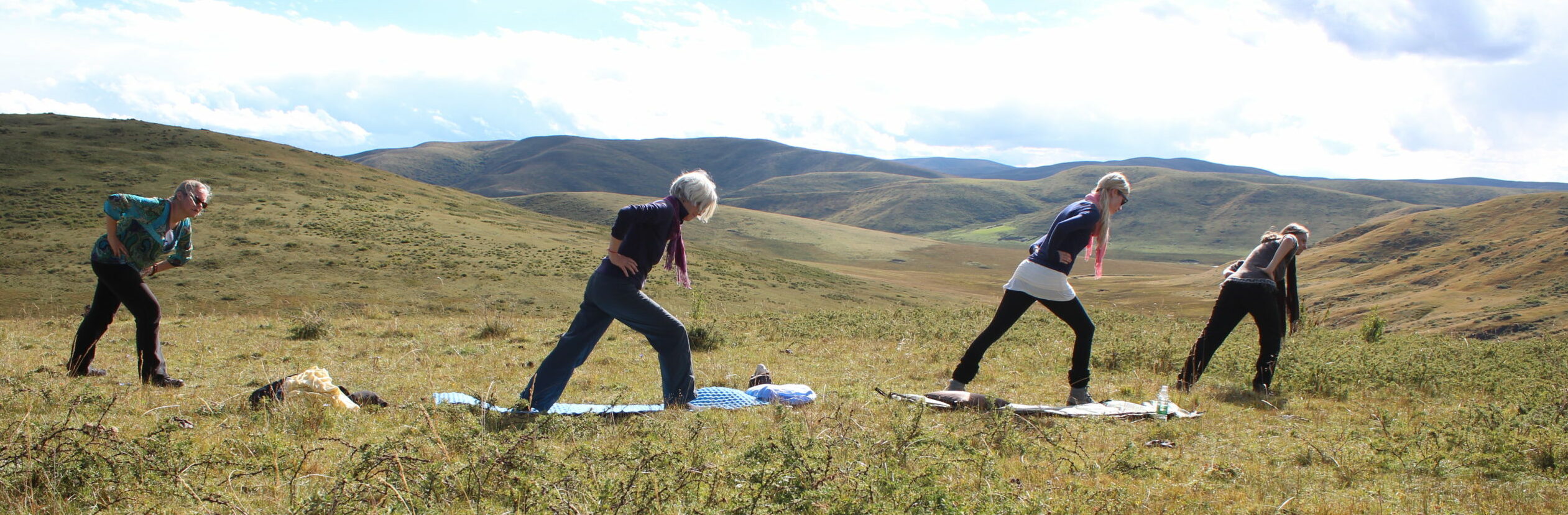 Yoga, Meditation, Coaching