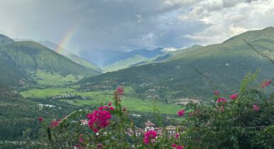 Lu Jong Lehrer:in werden – was du wissen solltest