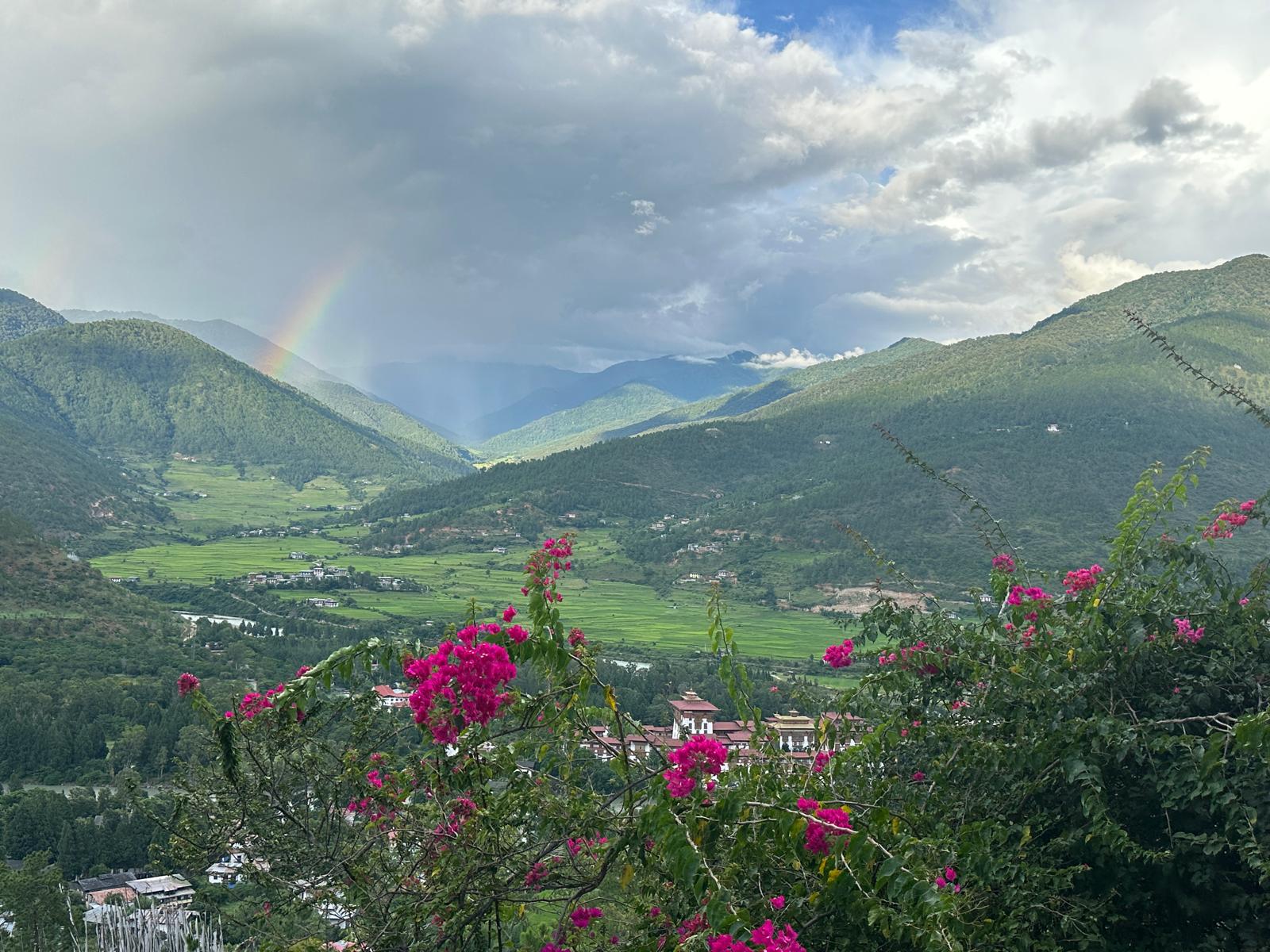 Lu Jong Lehrer:in werden – was du wissen solltest